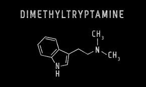 What is DMT